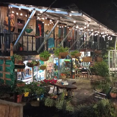 Casa Tranquilo Hostel Monteverde Екстериор снимка
