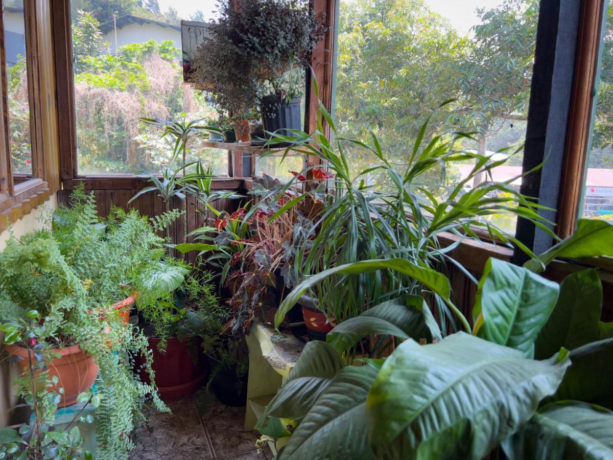 Casa Tranquilo Hostel Monteverde Екстериор снимка