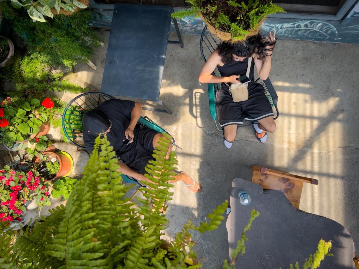 Casa Tranquilo Hostel Monteverde Екстериор снимка